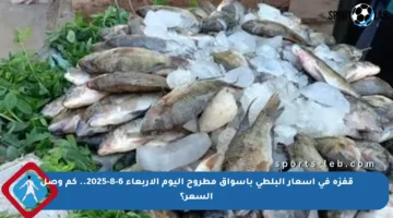 قفزة في أسعار البلطى بأسواق مطروح اليوم الأربعاء 6-8-2025.. كم وصل السعر؟